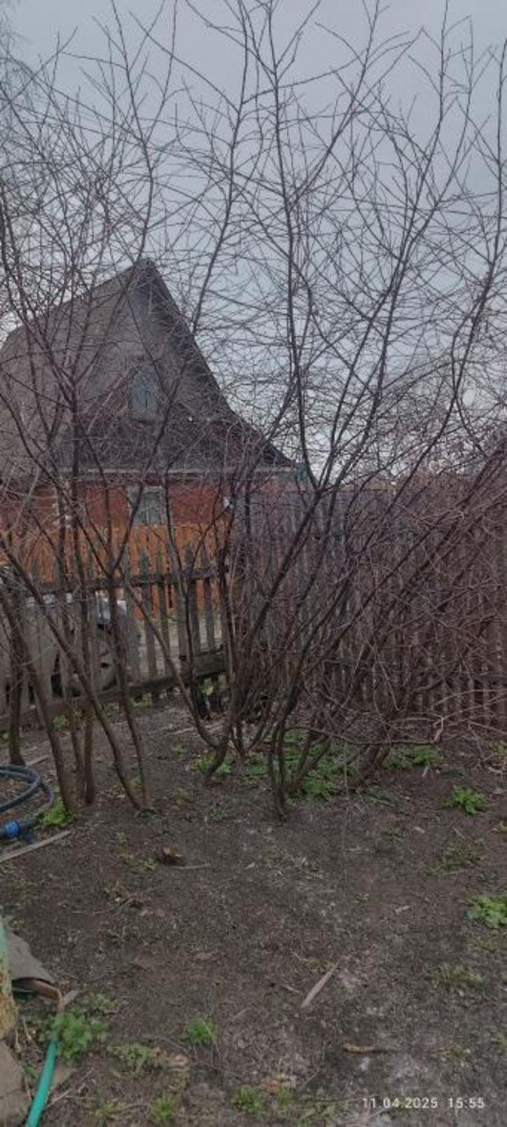 Земельный участок СОСН Золотой Ранет