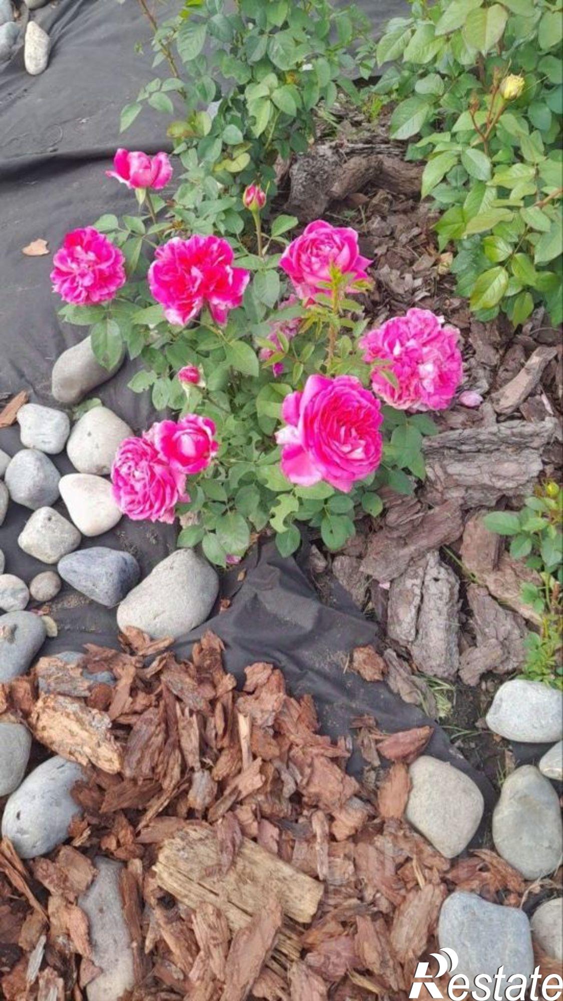 Купить дачу, дом, коттедж за 3 200 000 рублей на территория СОСН Энергетик-1, 9-я аллея