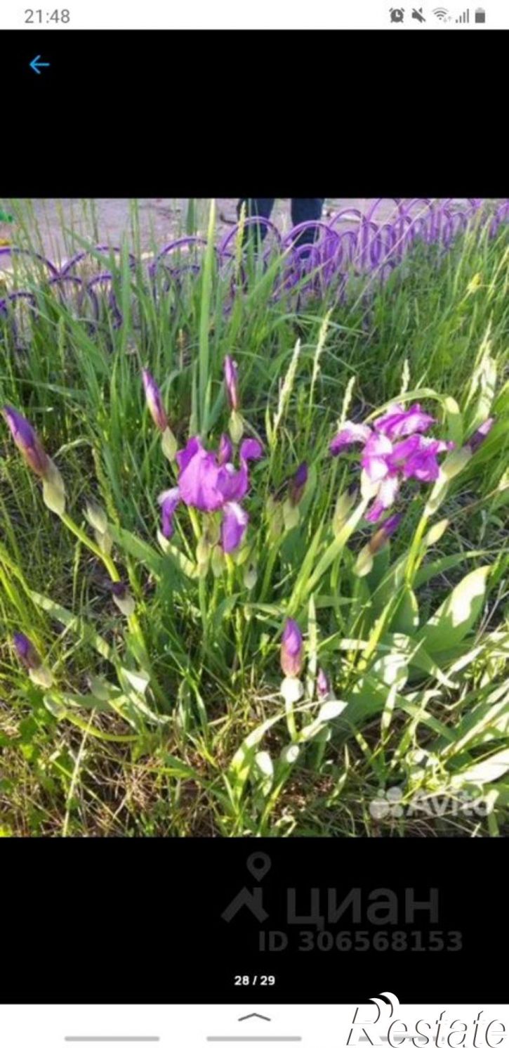 Коттедж/дом