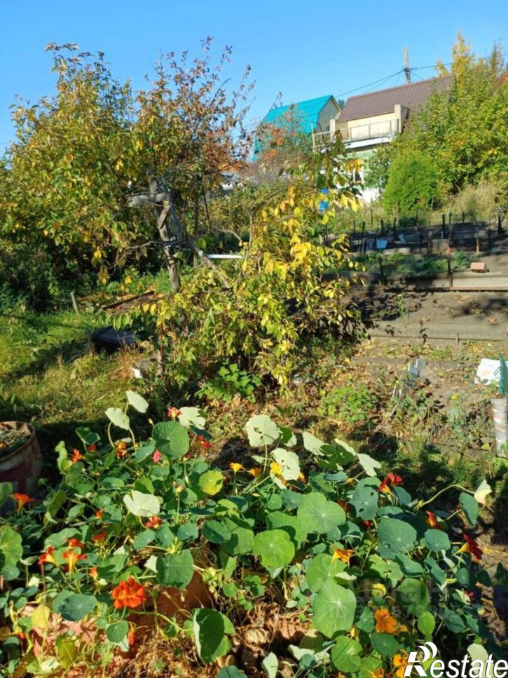 Коттедж/дом территория СОСН Берёзка