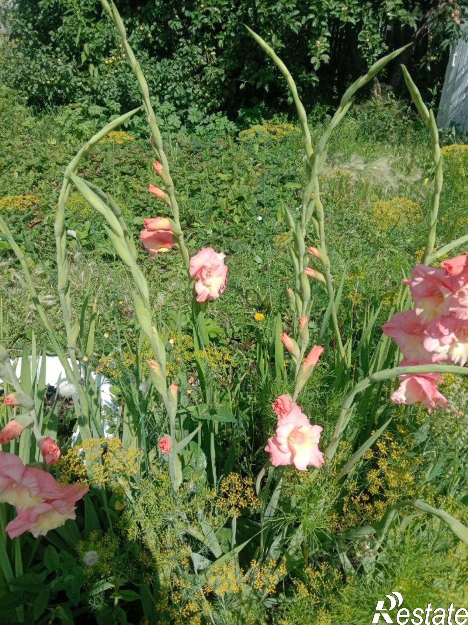 Купить дачу, дом, коттедж за 680 000 рублей