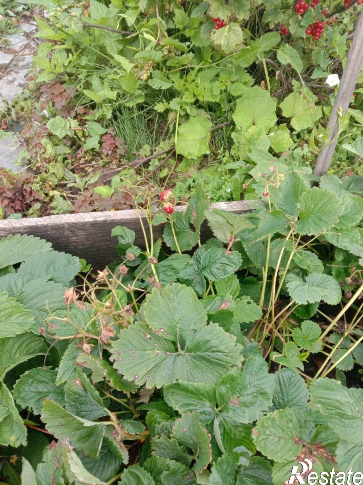 Купить дачу, дом, коттедж за 680 000 рублей