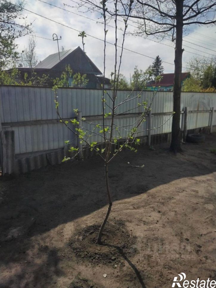 Коттедж/дом