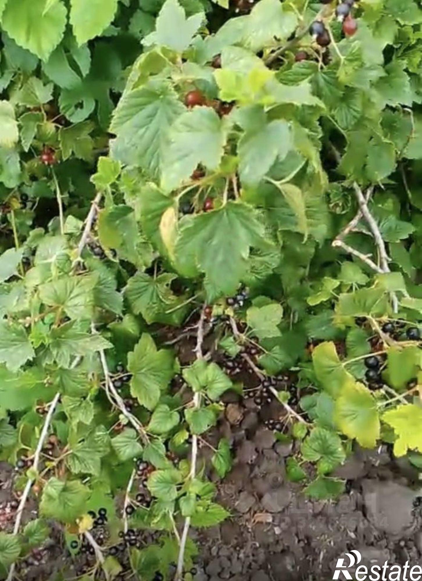 Купить дачу, дом, коттедж за 1 500 000 рублей