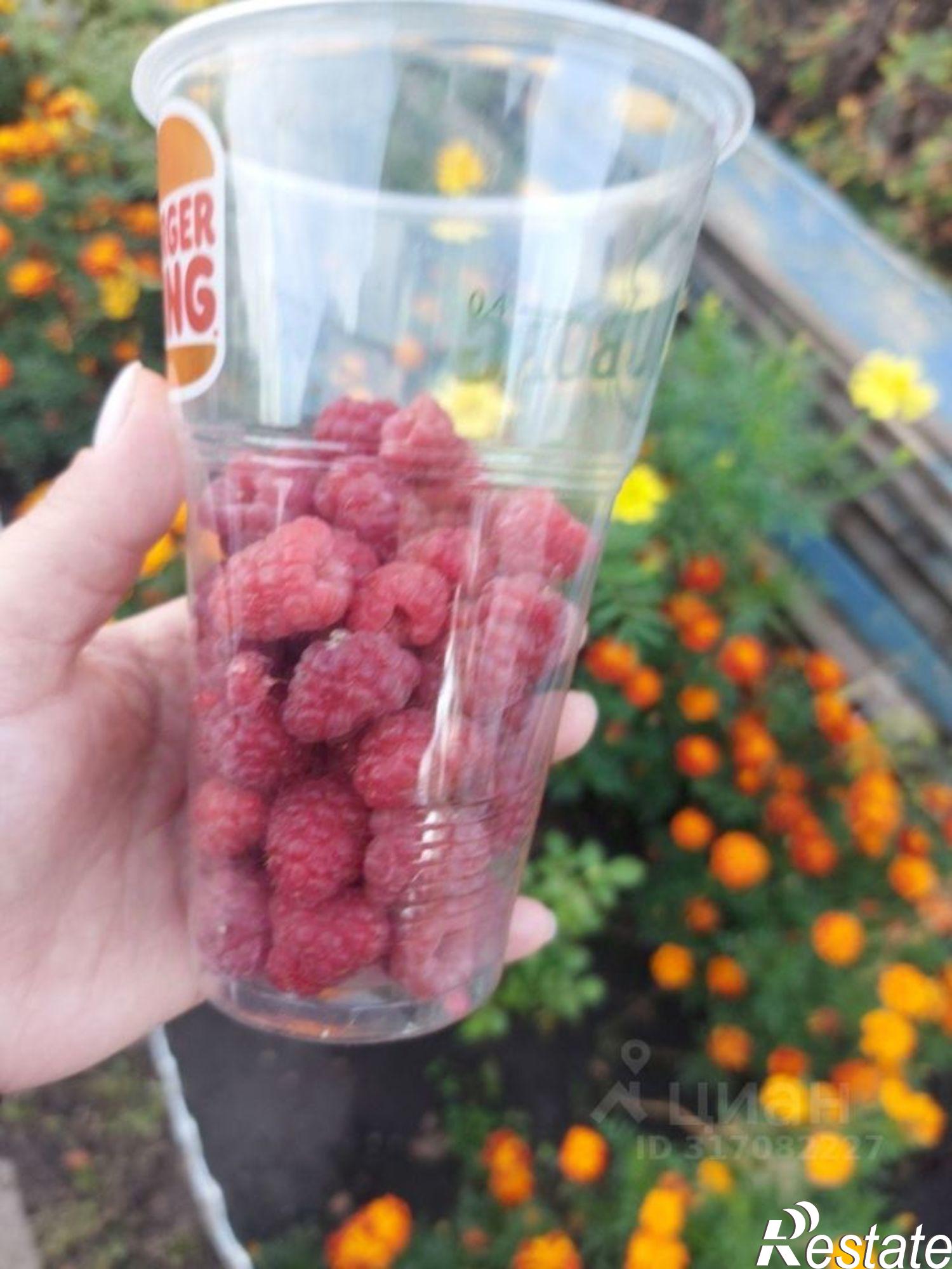 Купить дачу, дом, коттедж за 2 000 000 рублей