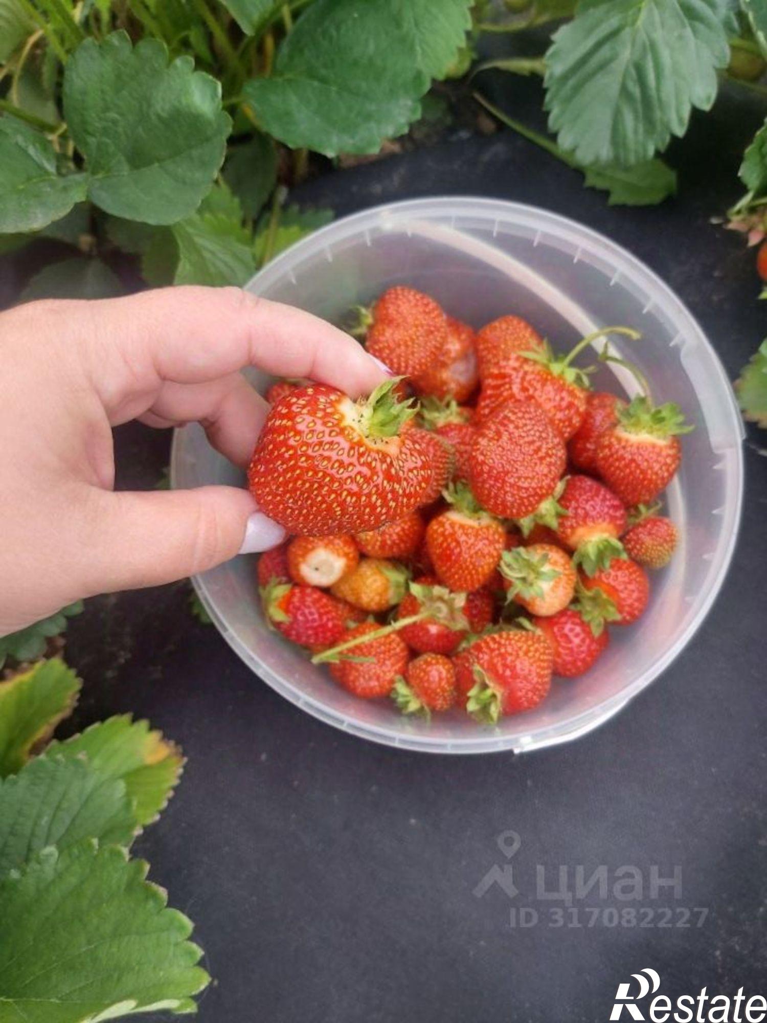 Купить дачу, дом, коттедж за 2 000 000 рублей