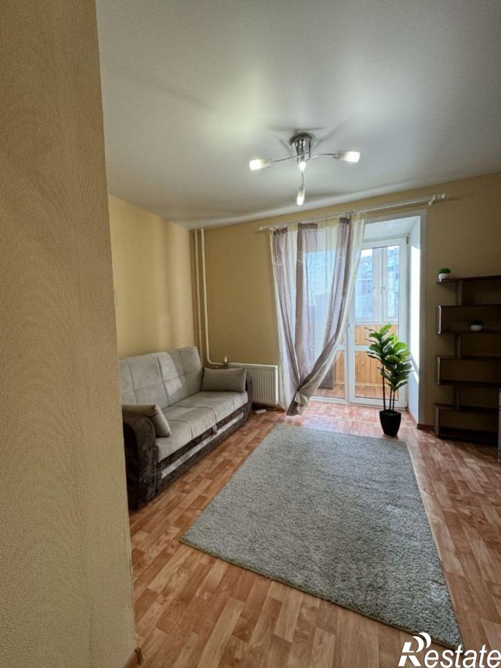 1-комн квартира ул Светловская, 10,  д. 10