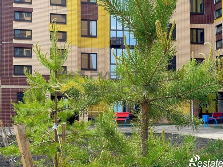 1-комн квартира 6-й Амурский пр-д, 12,  д. 12