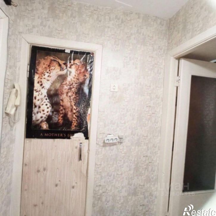 1-комн квартира ул Химиков, 12/2,  д. 12/2