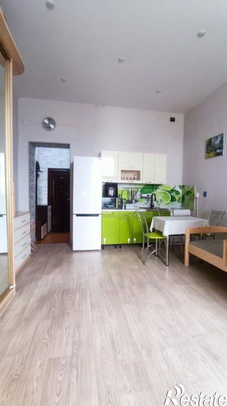 1-комн квартира ул Профинтерна, 10,  д. 10