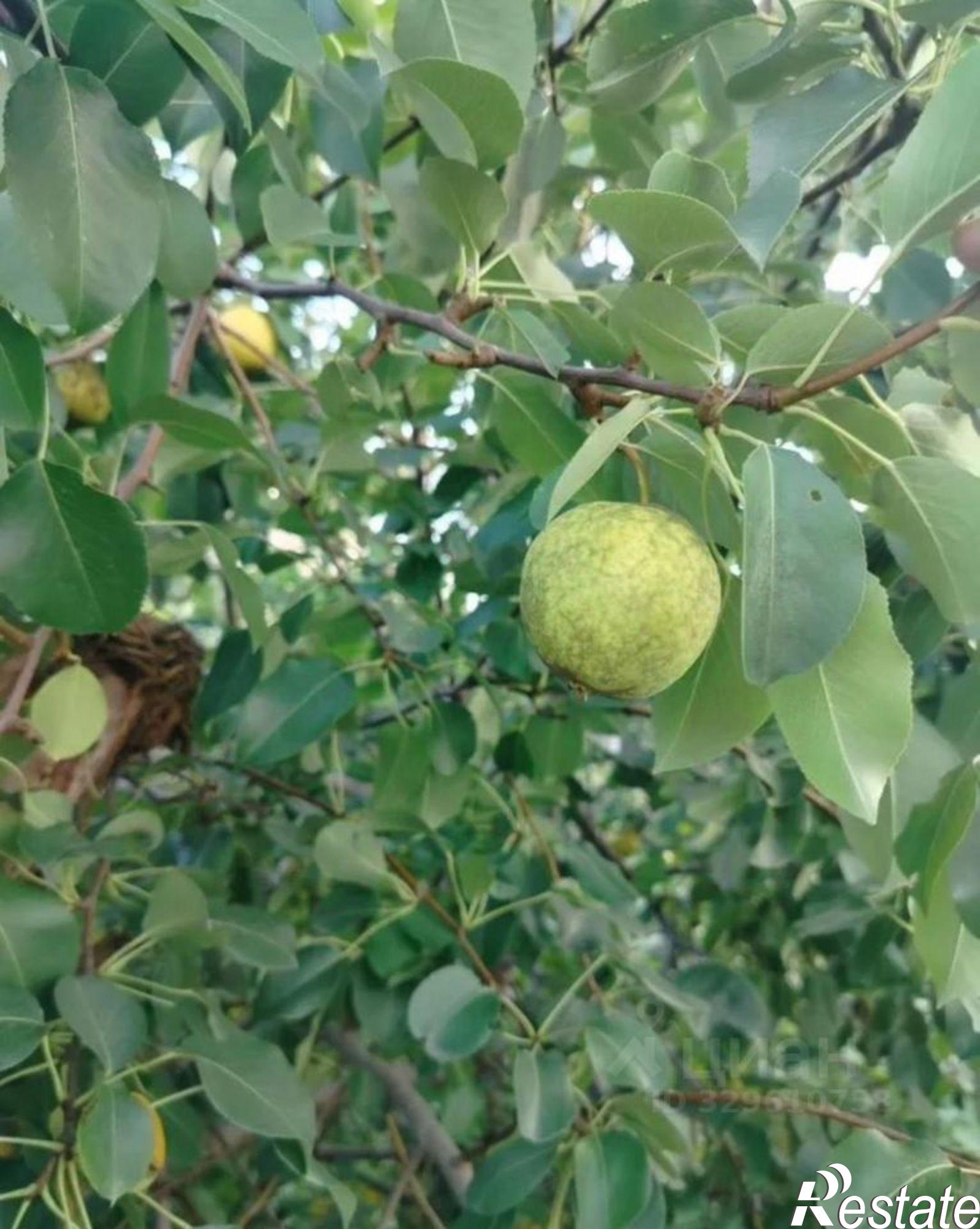 Купить дачу, дом, коттедж за 1 100 000 рублей
