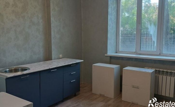 1-комн квартира ул Бородина, 44Б,  д. 44Б