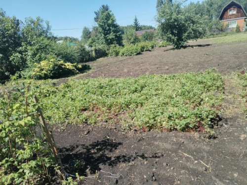 Продажа участка сдт Механизатор-2