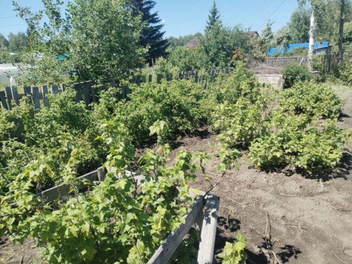 Продажа участка сдт Механизатор-2