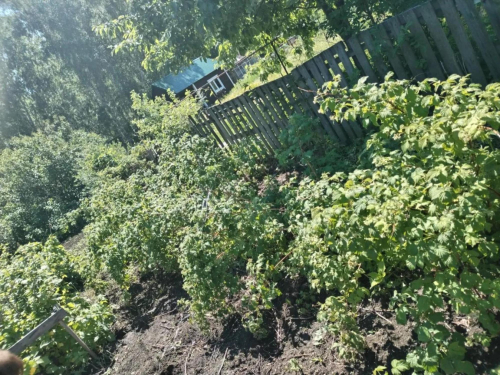 Продажа участка сдт Механизатор-2
