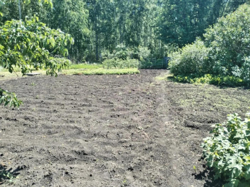 Продажа участка сдт Механизатор-2