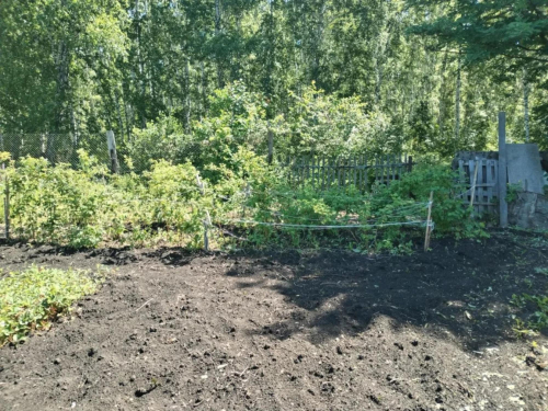 Продажа участка сдт Механизатор-2