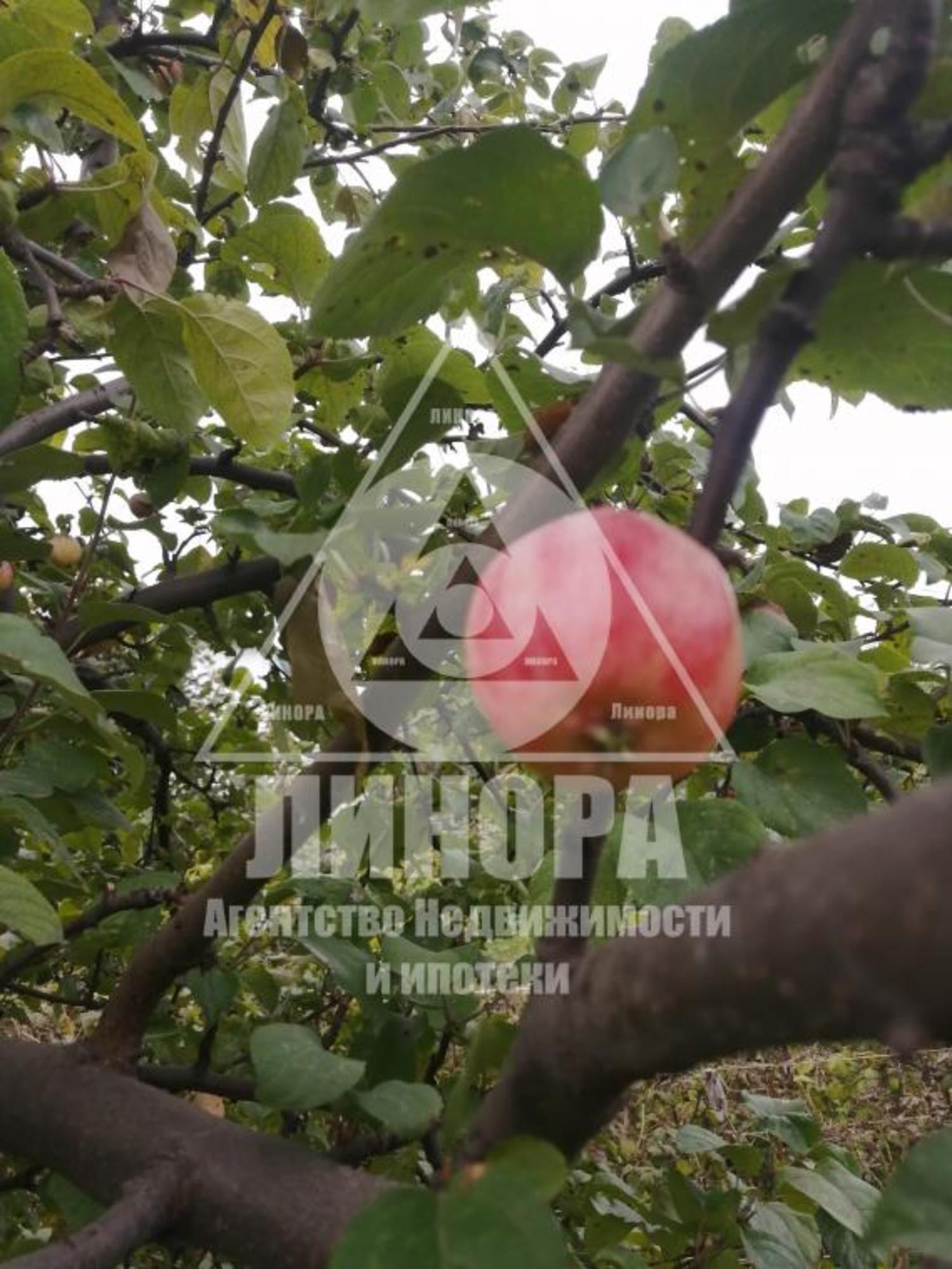 Купить дачу, дом, коттедж за 550 000 рублей на СОСН Взлёт
