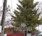 коттедж 60 кв м СНТ Отдых-1, 165