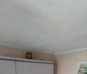 2-комн, 69.1кв м, этаж 4/5 Герцена, 250/1