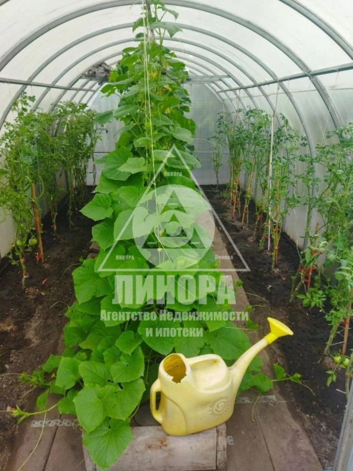 Коттедж/дом СОСН Дружба, 6-я аллея