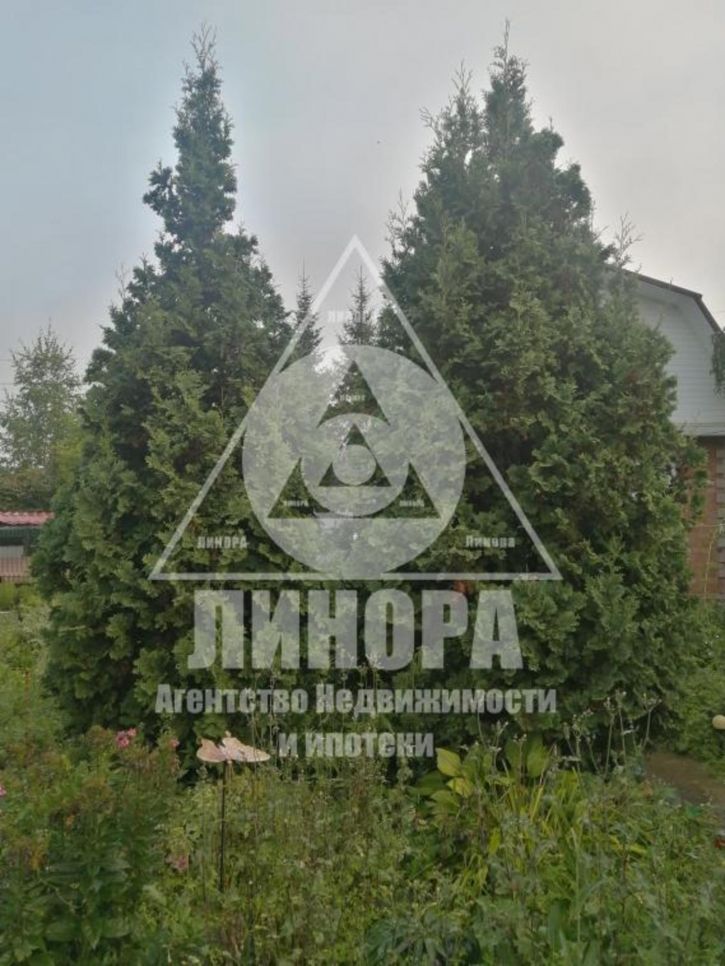 Коттедж/дом СОСН Лесное