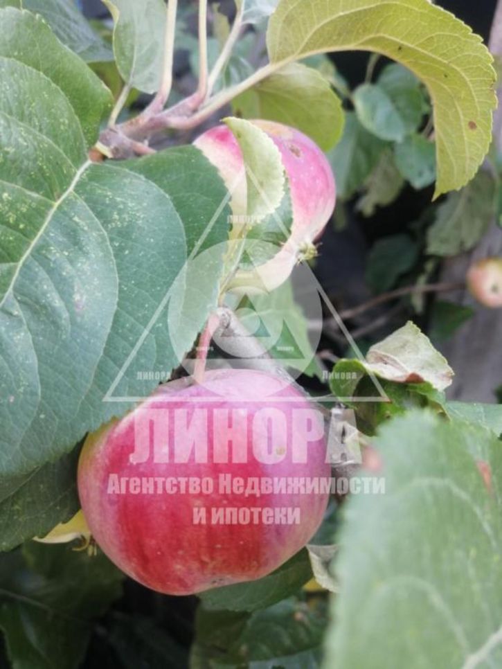 Коттедж/дом СНТ Дары Сибири