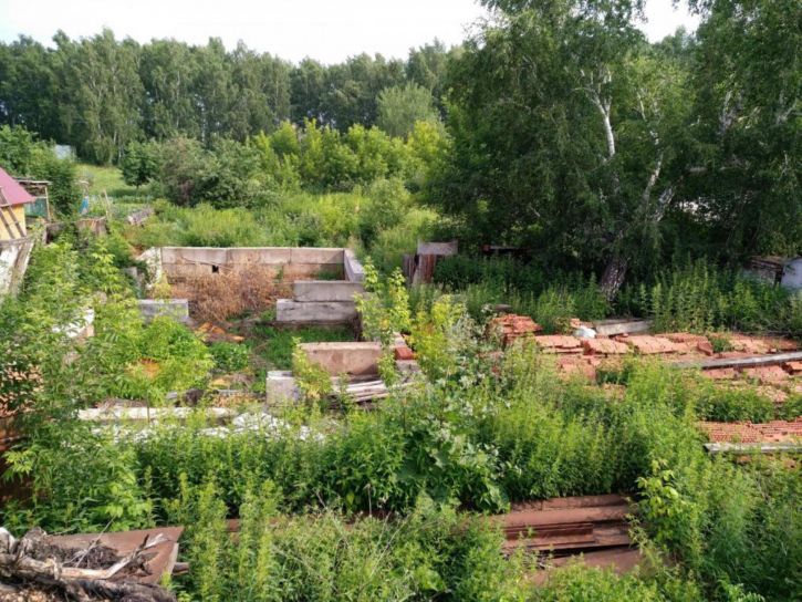 Земельный участок Линейная, 41