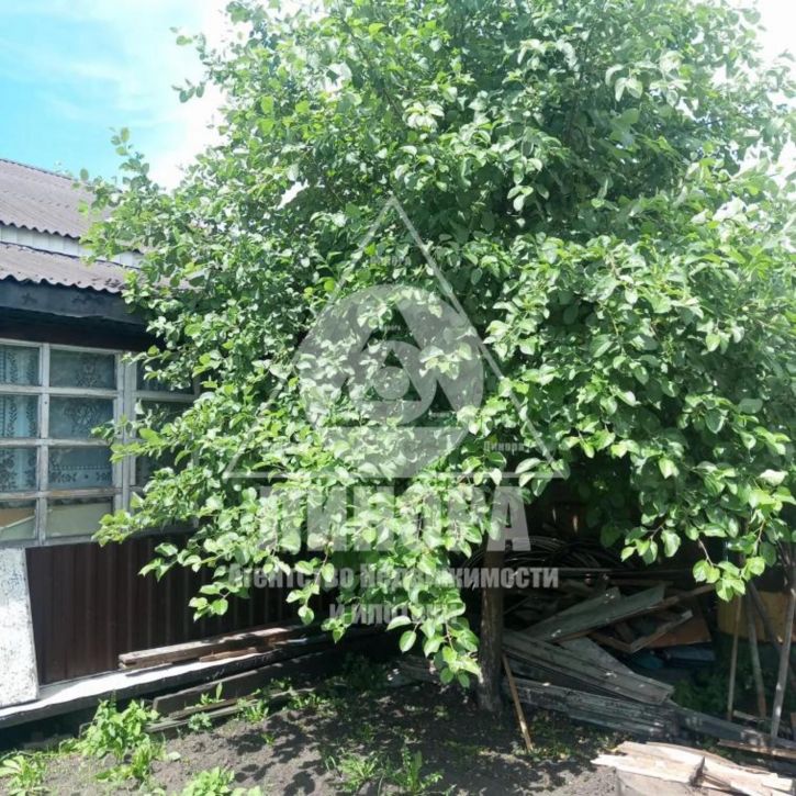 Коттедж/дом Невского