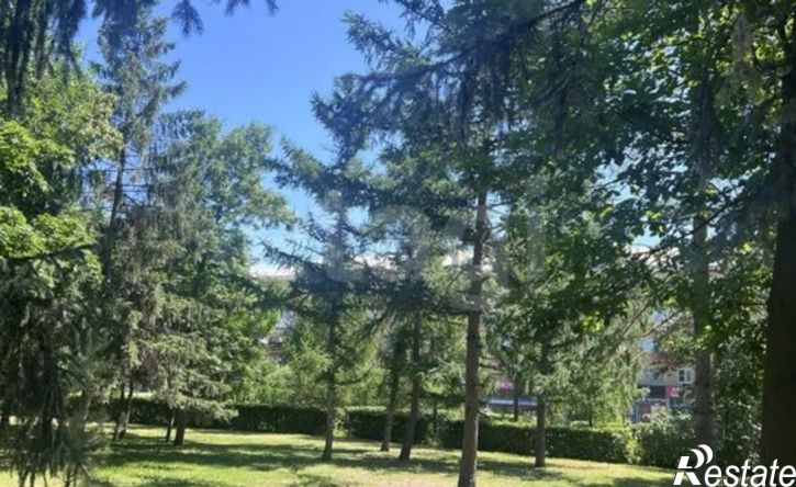 2-комн квартира проспект Карла Маркса, 75А,  д. 75А