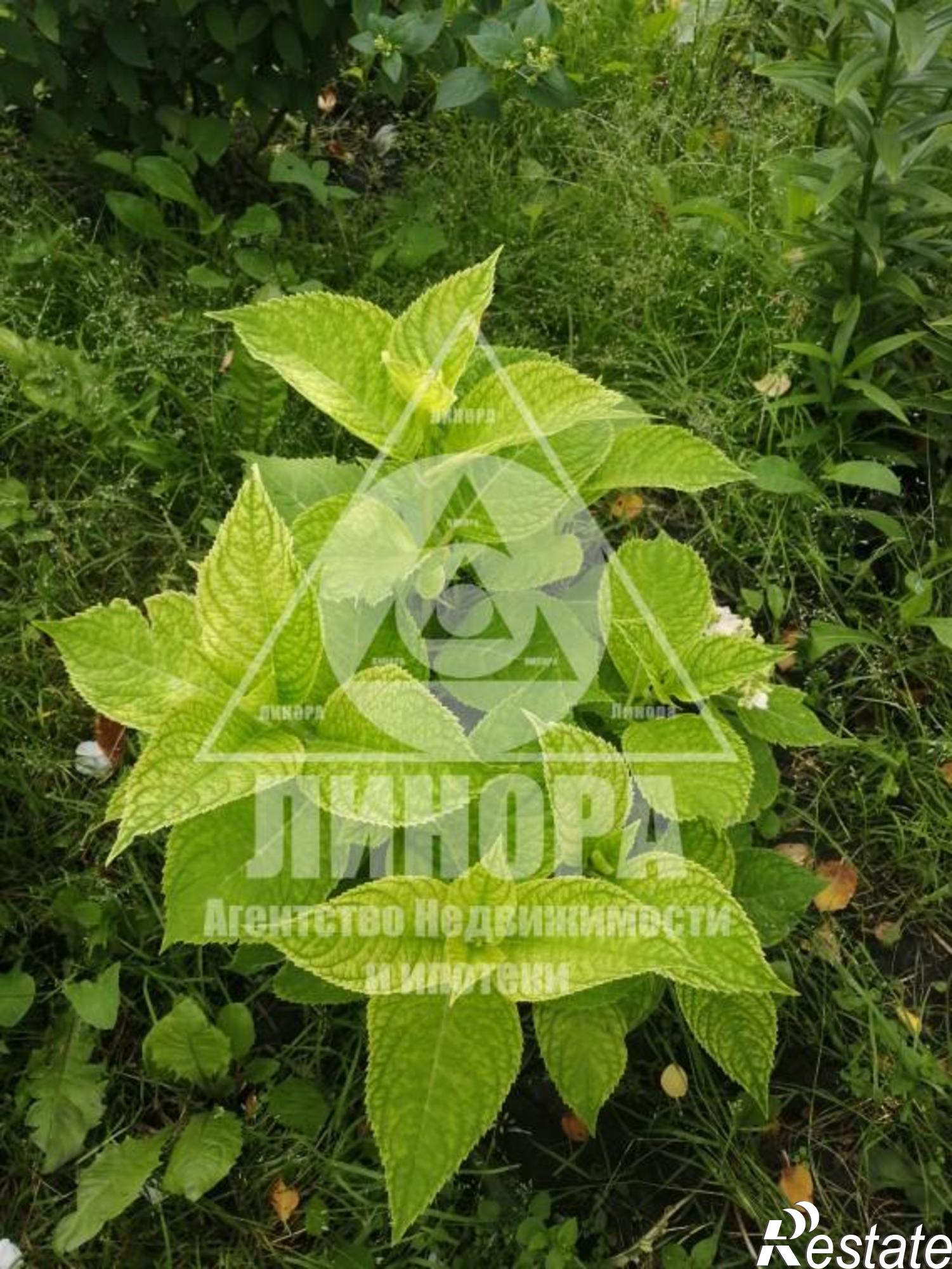 Купить дачу, дом, коттедж за 1 700 000 рублей на СОСН Спектр
