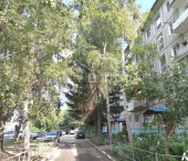 2-комн, 43кв м, этаж 1/5 ул Дианова, 19А