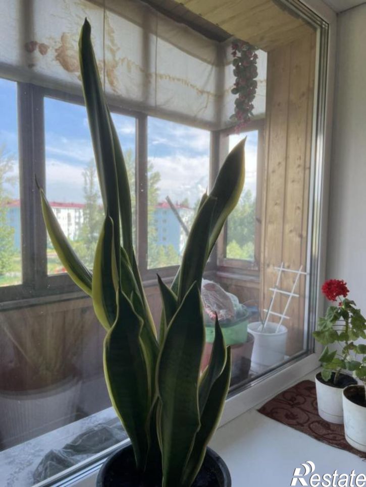 2-комн квартира Энтузиастов, 25а