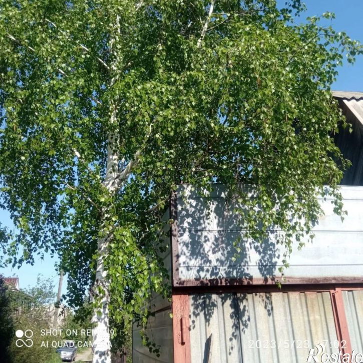 Коттедж/дом территория СОСН Шинник-1, 22-я аллея, 445