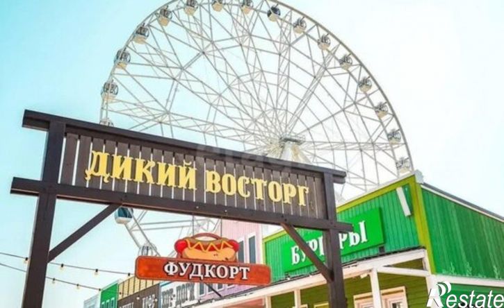 1-комн квартира ул 2-я Дачная, 20,  д. 20