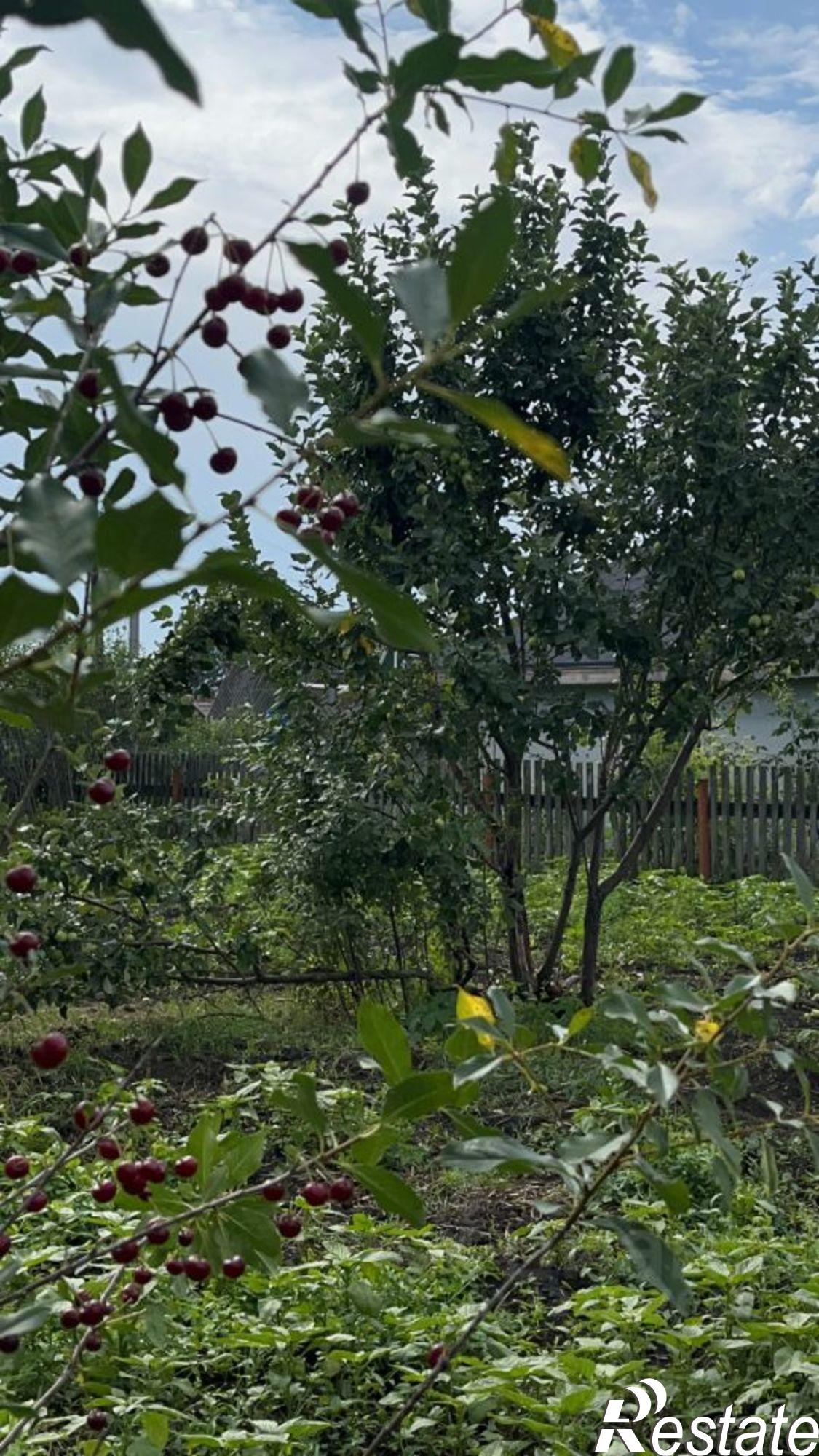 Купить землю, земельный участок за 1 500 000 рублей на территория СОСН Маяк-2
