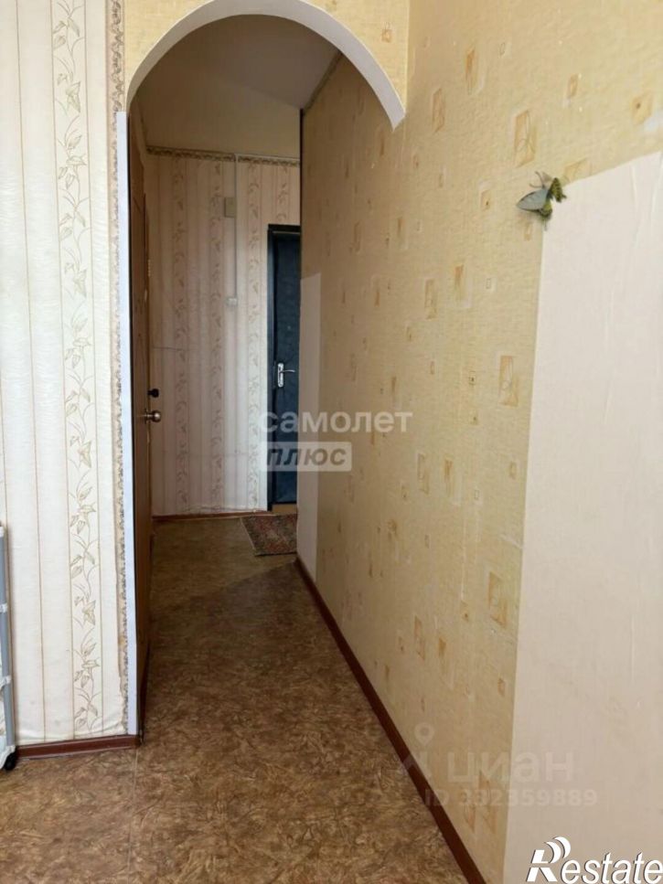 1-комн квартира ул Молодова, 24,  д. 24