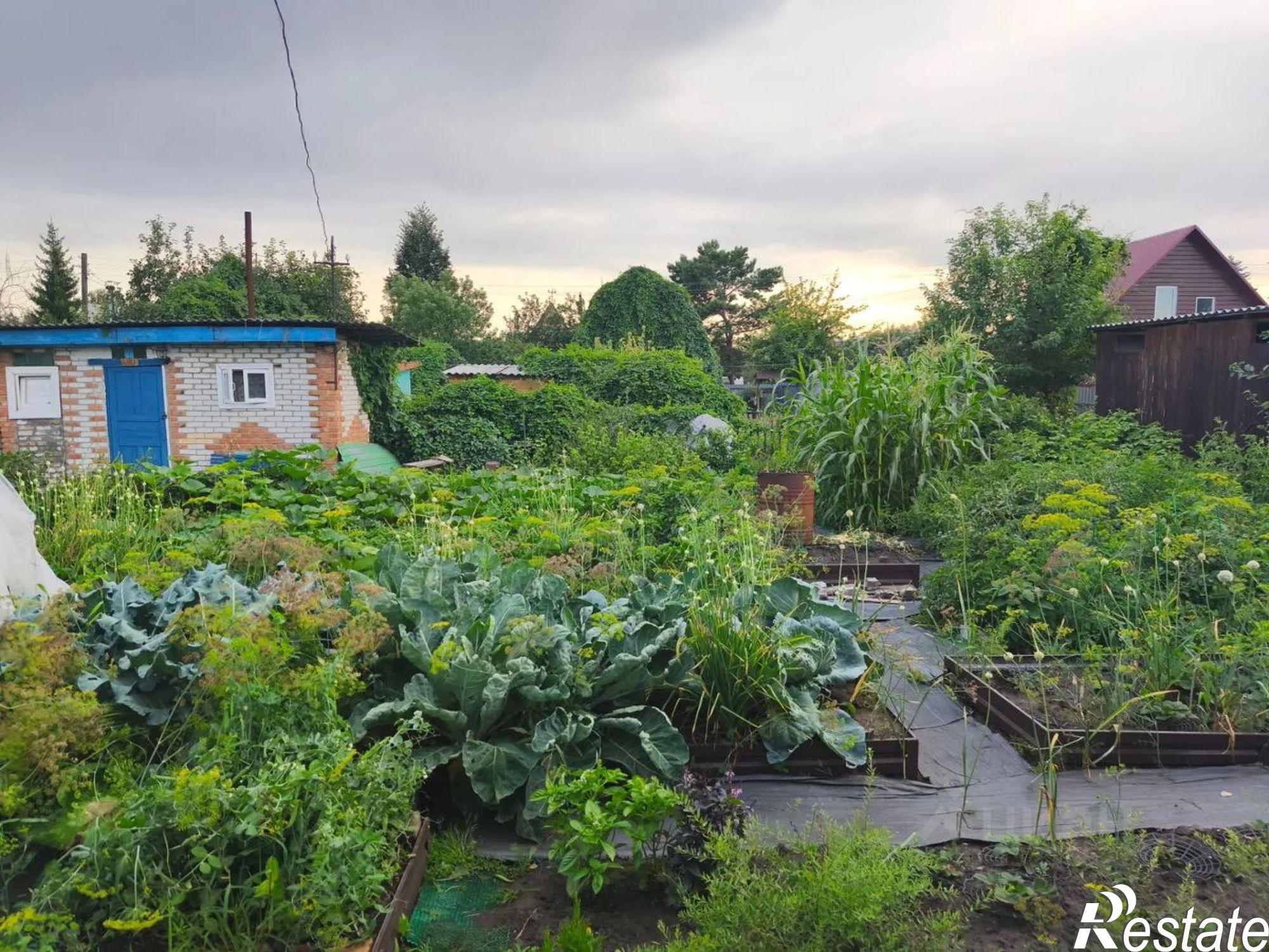 Купить дачу, дом, коттедж за 3 000 000 рублей