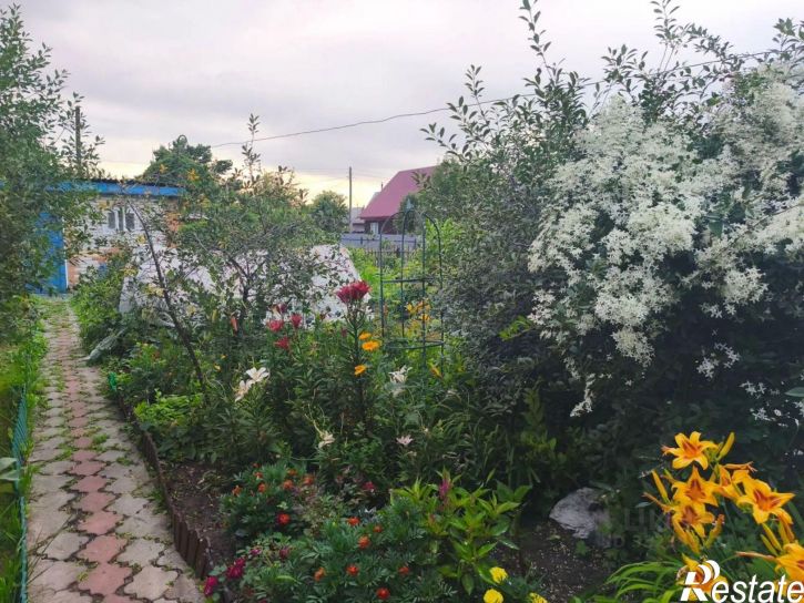 Коттедж/дом