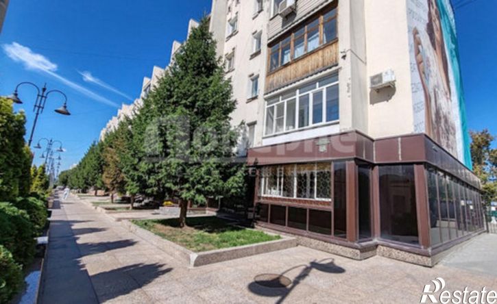 1-комн квартира ул Чокана Валиханова, 11,  д. 11